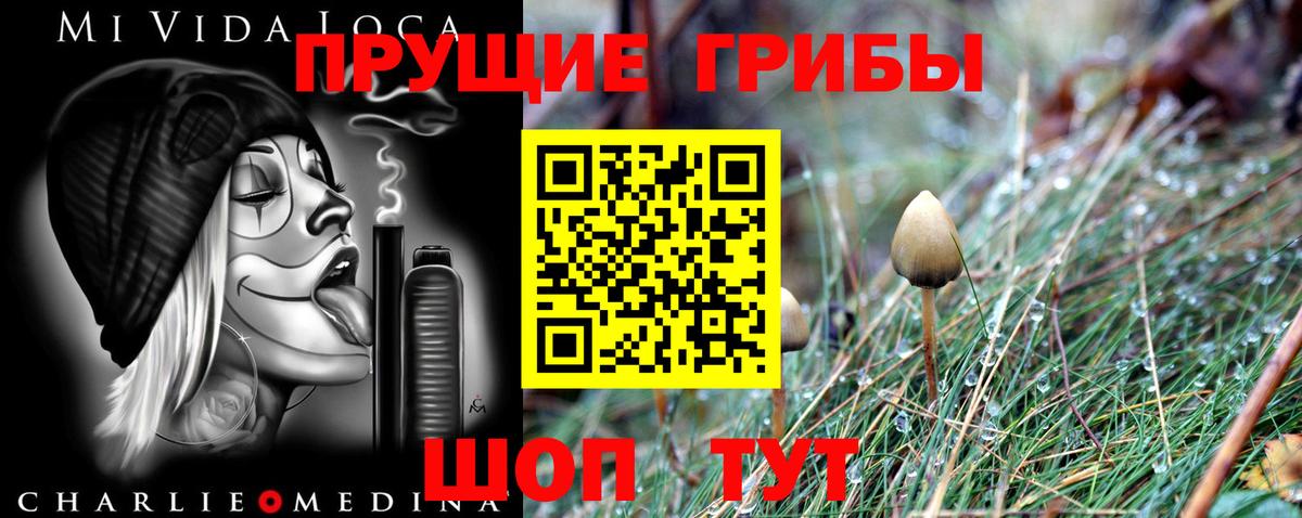 Галлюциногенные грибы Magic Shrooms  Вход с VPN  Мыски  Псилоцибиновые грибы Magic Shrooms 